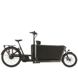 Trek Fetch+ 4 electric cargo bike with Bosch Performance Line CX motor, featuring customizable child seating and sturdy frame.