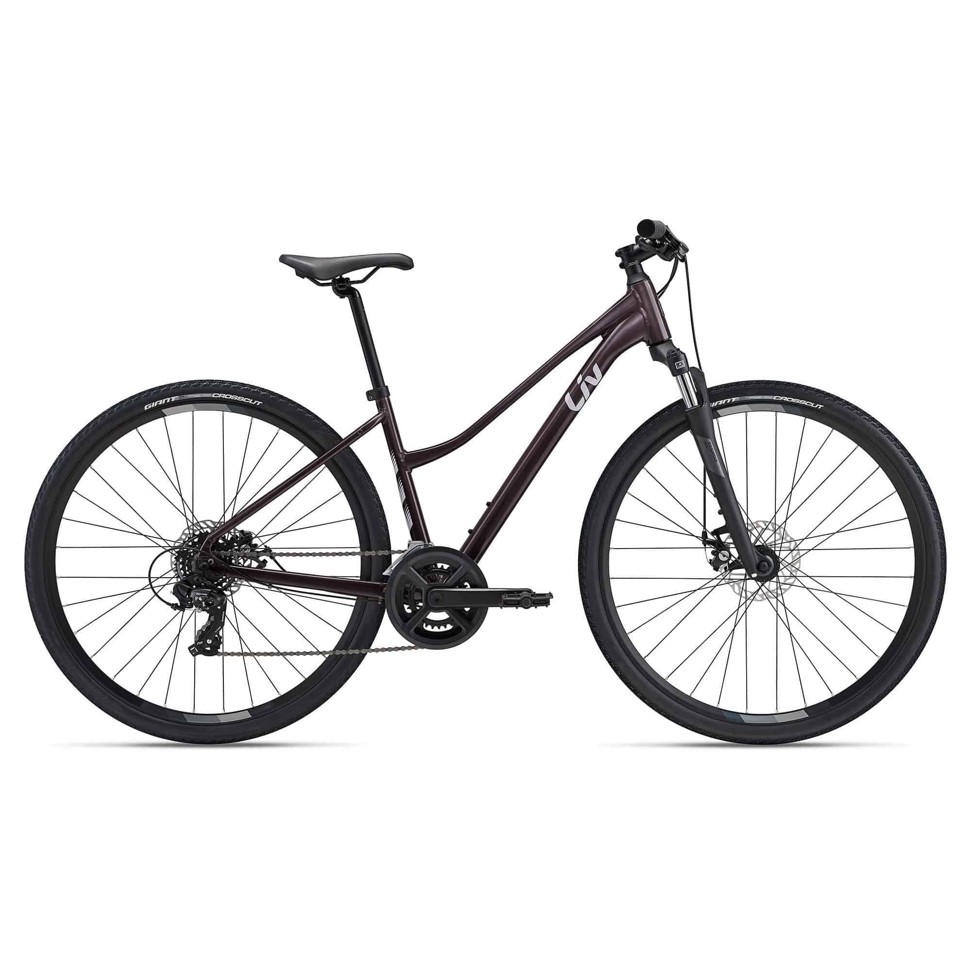 Liv Rove 4 hybrid bike for women with Shimano Tourney drivetrain and disc brakes, featuring a sleek design and sturdy frame.