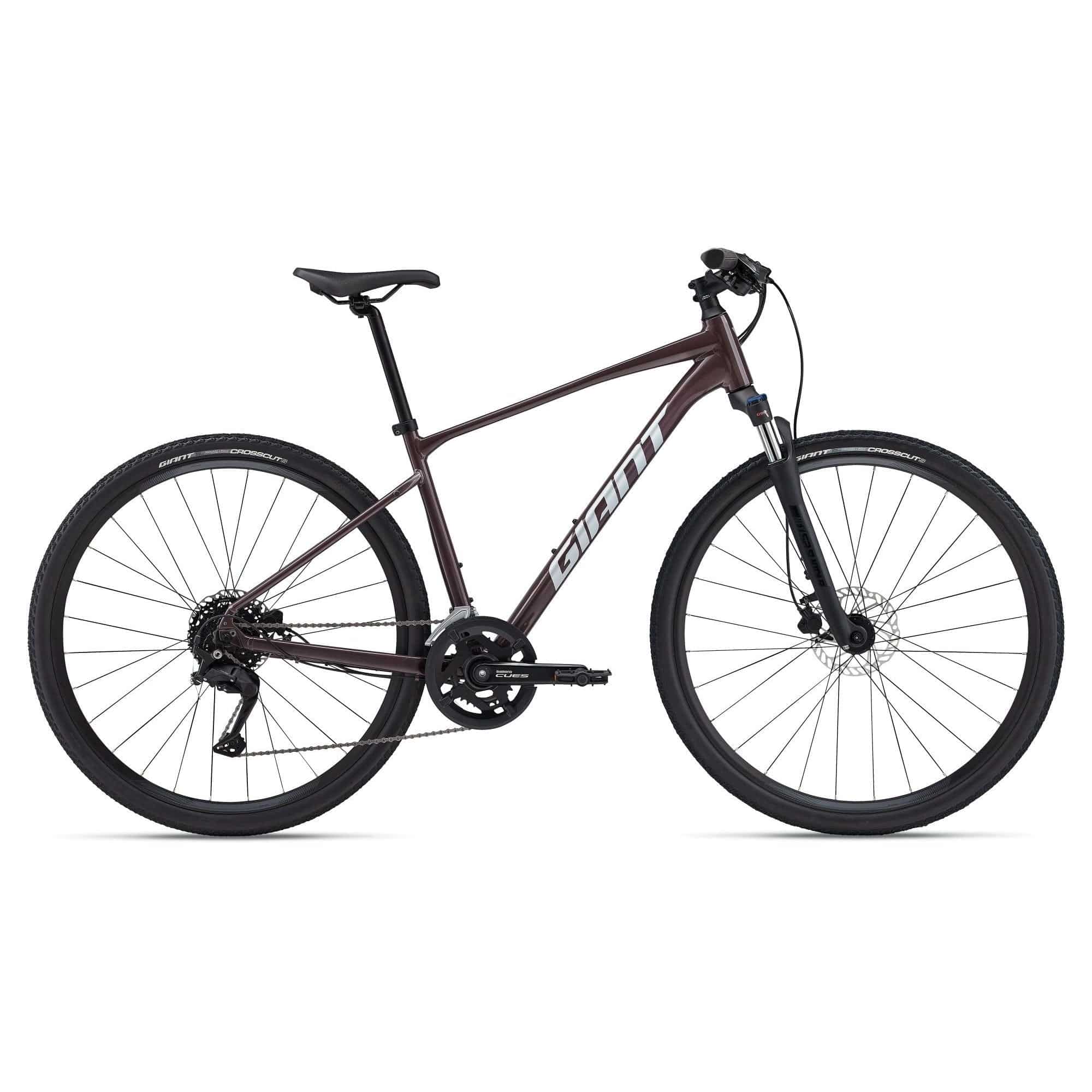 Giant Roam Disc 2 hybrid bike in XL size with urban and light off-road tires, black frame, front and rear disc brakes, and ergonomic design.