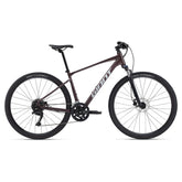 Giant Roam Disc 2 Hybrid Bike