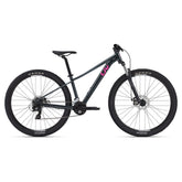 Liv Tempt 4 Mountain Bike