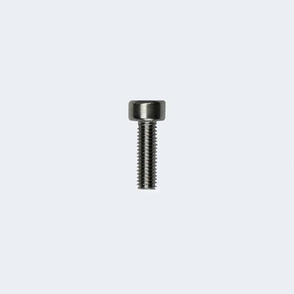 Fazua Ride 60 ring control hub replacement screw for secure mounting of e-bike components.