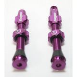 Hope Tubeless Valve Pair Tubeless