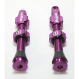 Hope Tubeless Valve Pair Tubeless