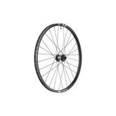 DT Swiss F 1900 29-inch front mountain bike wheel with 30mm rim and BOOST 110x20mm axle for downhill riding.