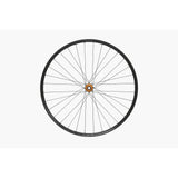 Hope Front 29Er Fortus 35W Front Wheel