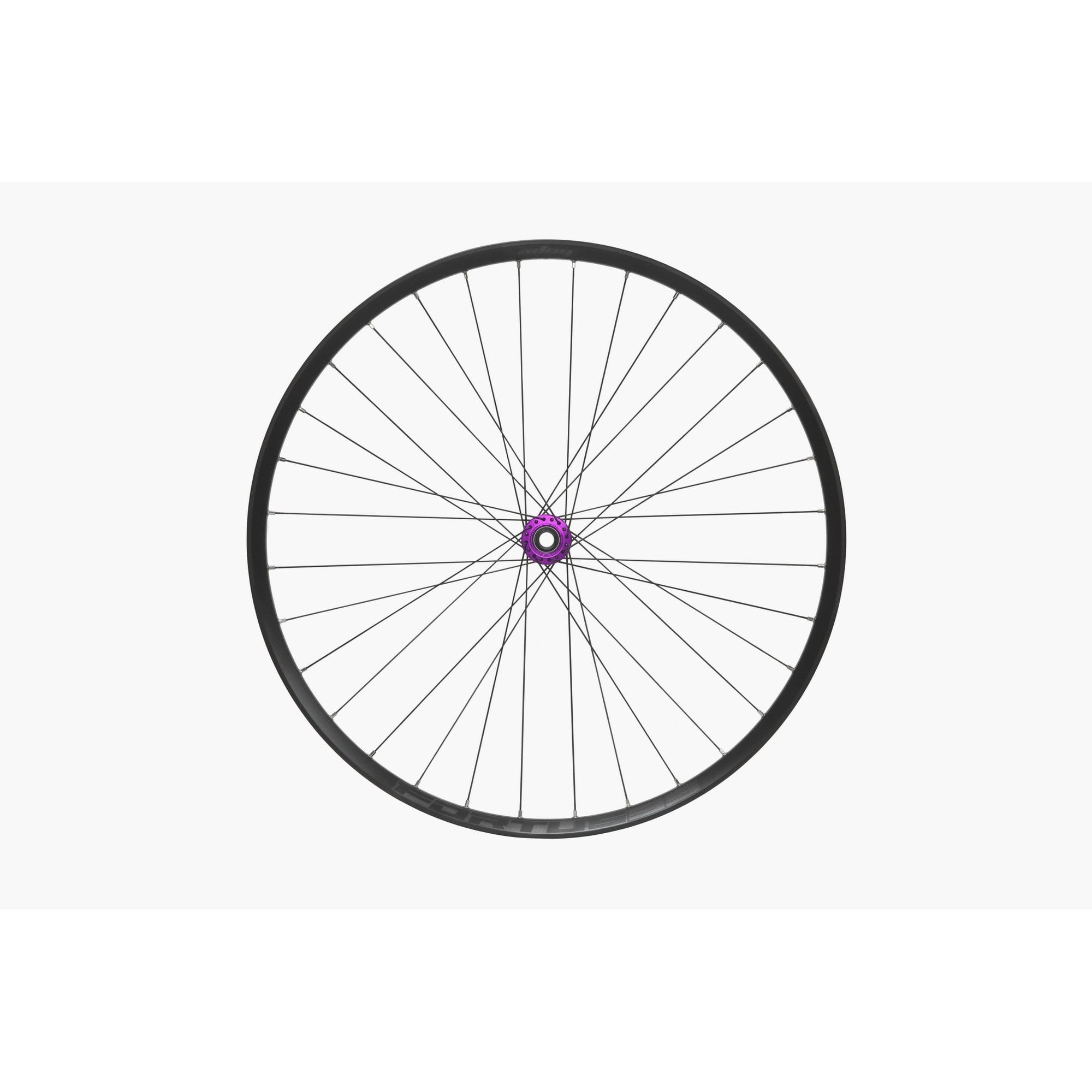 Hope Front 29Er Fortus 35W Front Wheel
