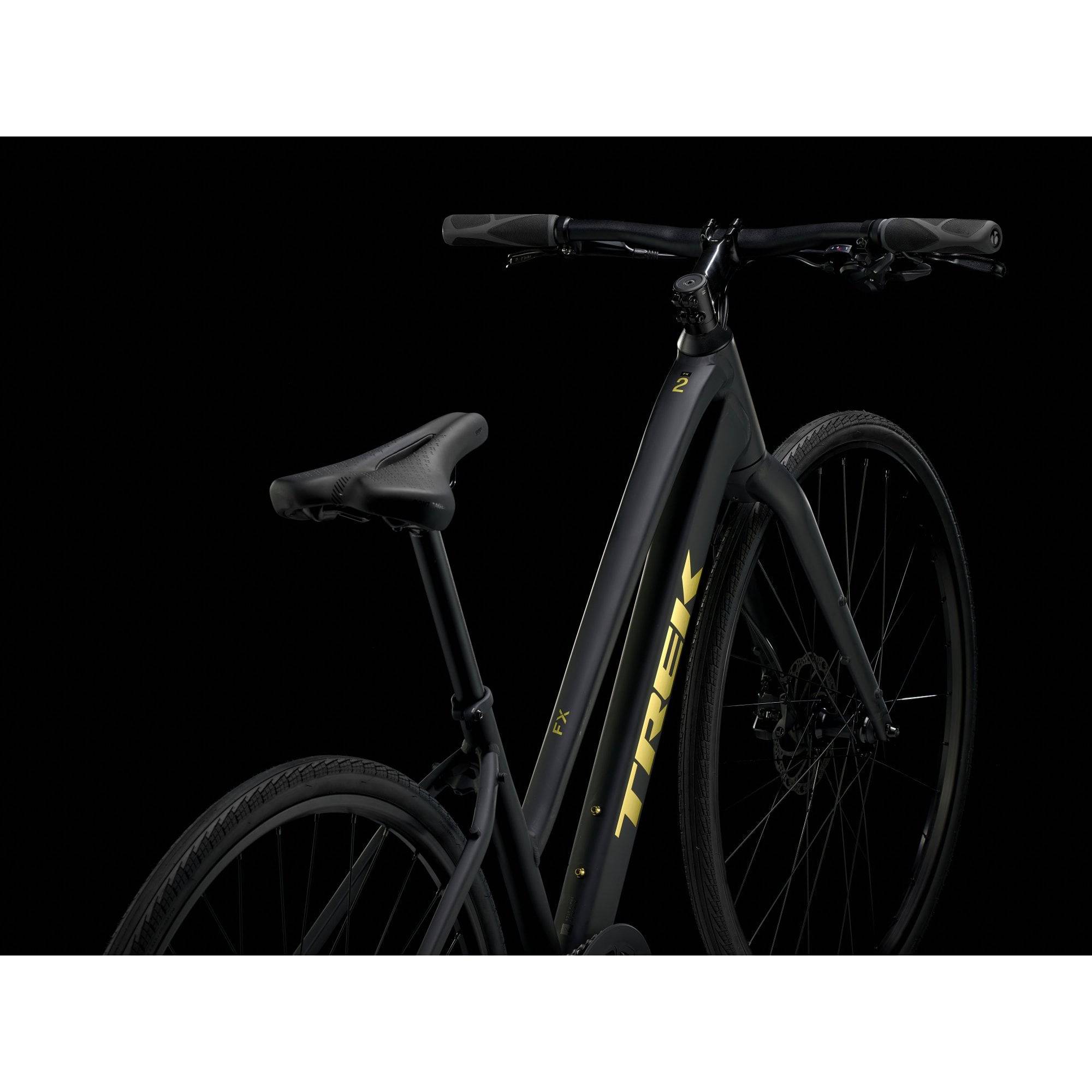 Trek FX 2 Stagger Hybrid Bike