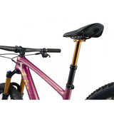 Liv Pique Advanced 29 0 Mountain Bike