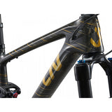 Liv Pique Advanced 29 1 Mountain Bike