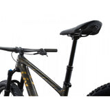 Liv Pique Advanced 29 1 Mountain Bike