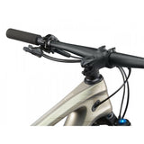 Liv Pique Advanced 29 2 Mountain Bike