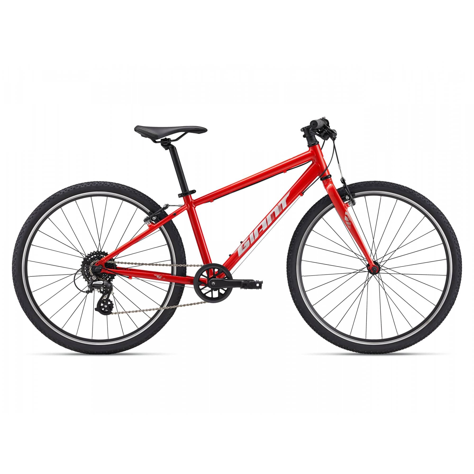 Giant ARX 26 Childs Bike