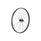 Trek Alex MD35 29-inch mountain bike rear wheel with Shimano HG 8/9/10-speed compatibility, durable MTB component.