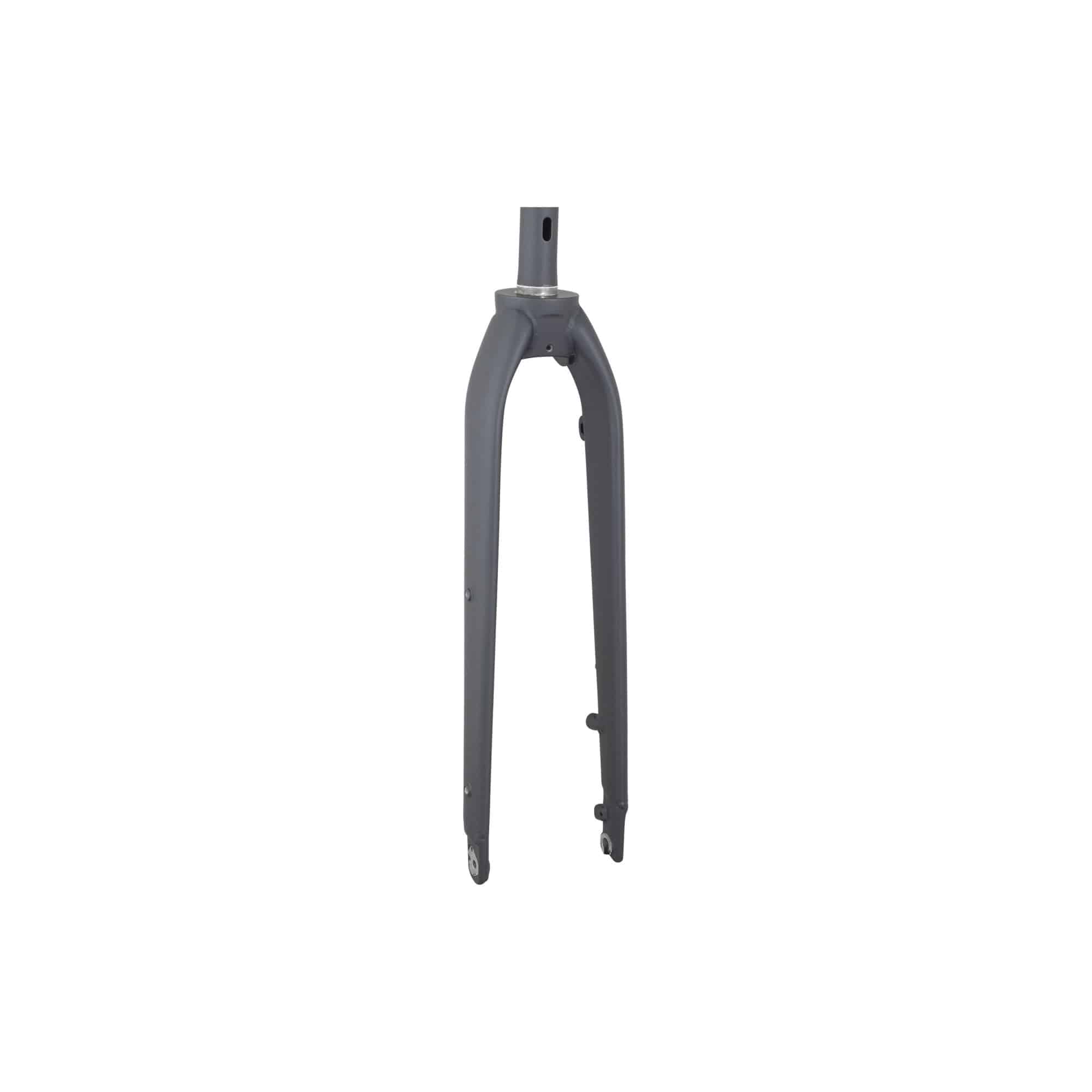 Black Trek Dual Sport 1 29-inch thru-axle rigid fork with 318mm length and 38mm offset, designed for mountain bikes.