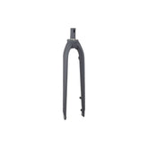 Trek Dual Sport 1 Thru-Skew Rigid Forks