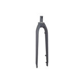 Black Trek Dual Sport 1 29-inch thru-axle rigid fork with 318mm length and 38mm offset, designed for mountain bikes.