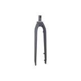 Black Trek Dual Sport 1 29-inch thru-axle rigid fork with 318mm length and 38mm offset, designed for mountain bikes.
