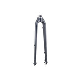 Trek FX 2 rigid disc brake fork, durable replacement component for road bikes, with black finish and disc brake mounts.