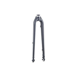 Trek FX 2 rigid disc brake fork, durable replacement component for road bikes, with black finish and disc brake mounts.
