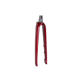 Trek Domane SL 6 road bike forks for smooth steering and stability, showcasing lightweight carbon components.