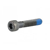 Trek Frame Parts M8x1.25 Socket Head Cap Screws