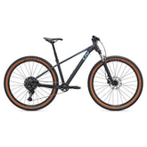Liv Tempt 29 1 Mountain Bike