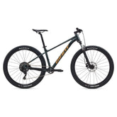 Giant Talon 29 2 Mountain Bike