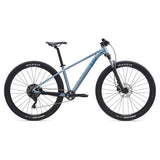 Liv Tempt 29 2 Mountain Bike