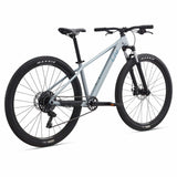 Liv Tempt 29 4 mountain bike with lightweight aluminum frame, 29-inch wheels, and 1x drivetrain, designed for trail riding.