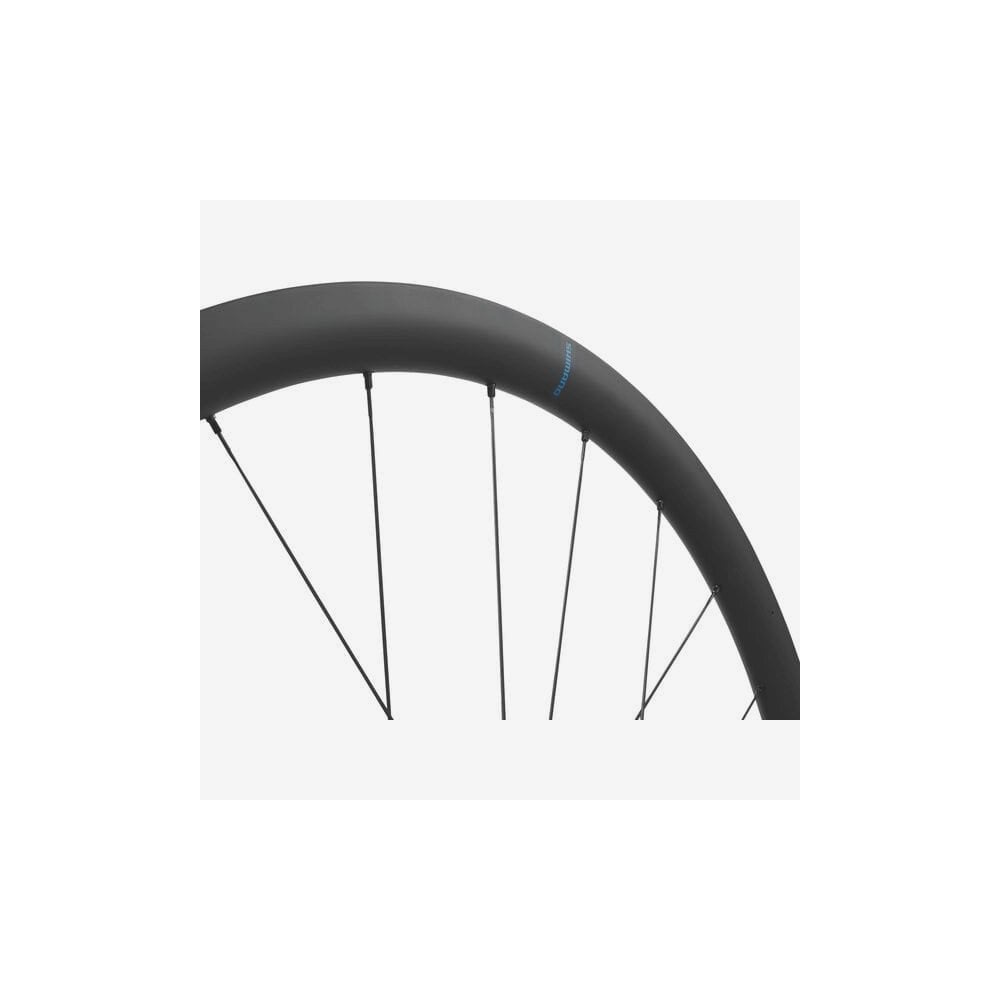 Shimano GRX WH-RX880 700C rear wheel with 12-speed micro spline center lock disc brake for gravel bikes.