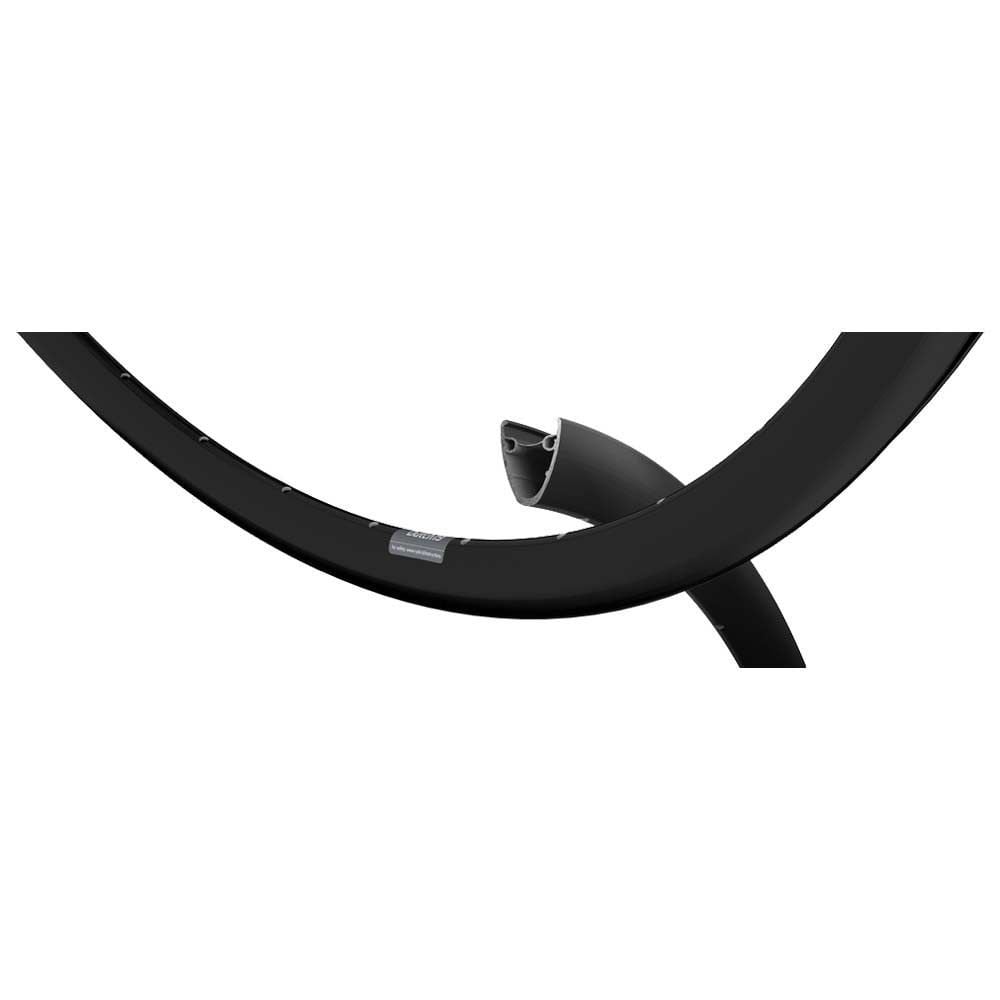 Ryde Dutch 19 Disc Rims