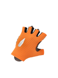 Q36.5 Dottore Pro Summer Gloves