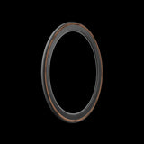 Pirelli P Zero Race Classic Tan 700x26c SmartEVO TechBELT Clincher - Folding Bead | Swinnerton Cycles
