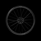 Fast Forward RAW33 Carbon Clincher Disc Brake Wheelset Pair