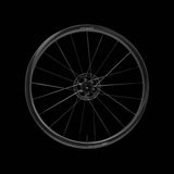 Fast Forward RAW33 Carbon Clincher Disc Brake Wheelset Pair
