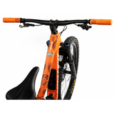 All Mountain Style Frame Guard Extra - Red Bull Rampage Freeride | Swinnerton Cycles