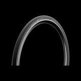 Pirelli Angel WT SmartEVO Winter TechWALL Clincher - Folding Bead