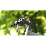 Selle Royal Nivo