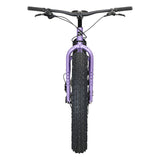 Surly - Bikes/Frames Ice Cream Truck