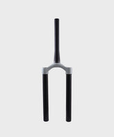 Fox Fork 34 Rhythm SPD-PED-ELEC CSU 2019 15x110 QR