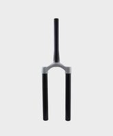 Fox Fork 34 Rhythm SPD-PED-ELEC CSU 2019 15x110 QR