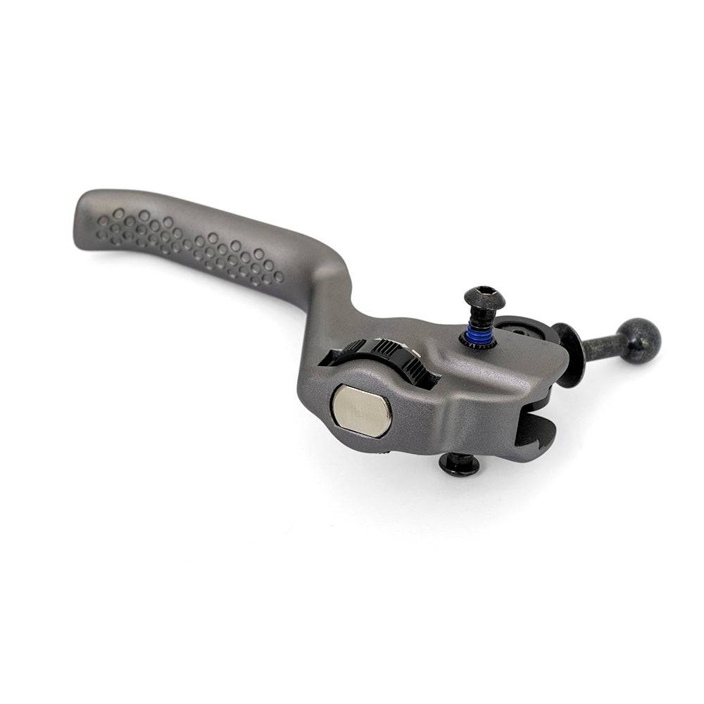 Hayes Dominion SRL short reach disc brake lever for mountain bikes, showing the black brake lever with mounting hardware.