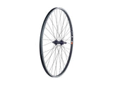 Bontrager AT-550 29-inch mountain bike wheel with FM31 hub, tubeless compatible, 36-hole for MTB components.
