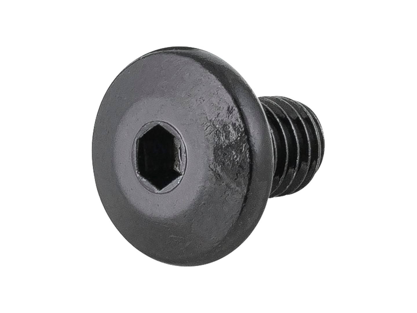 Bontrager Line Dropper seatpost cartridge bolt and mounting screw in black for M6 x 9mm components, shown with the dropper post.
