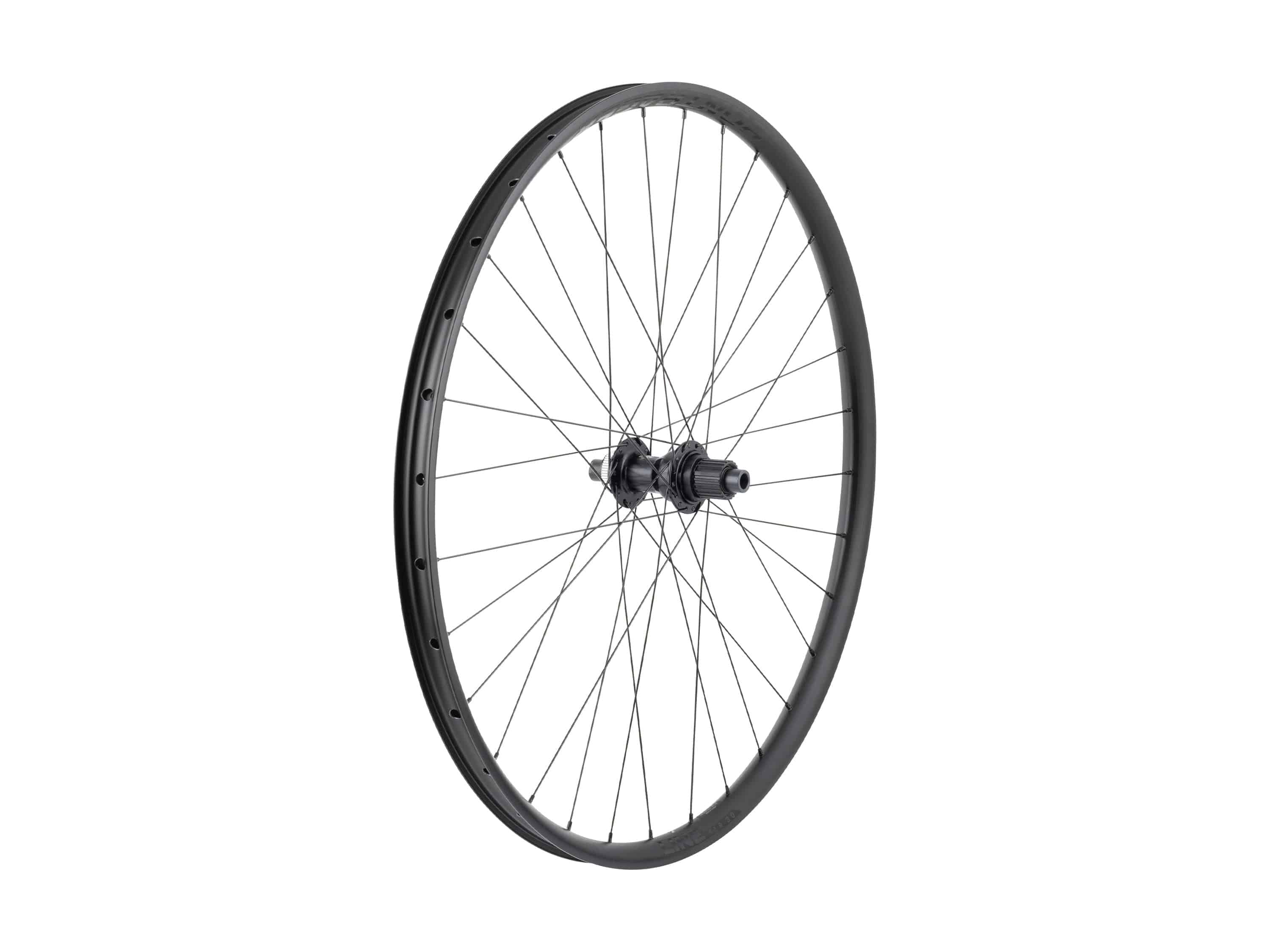 Bontrager Line TLR 30 Boost 29-inch mountain bike rear wheel with tubeless-ready design and 32 spokes for MTB riding.