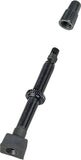Bontrager tubeless rectangular base TLR valve stem for MTB wheels, featuring a removable core for easy inflation and maintenance.