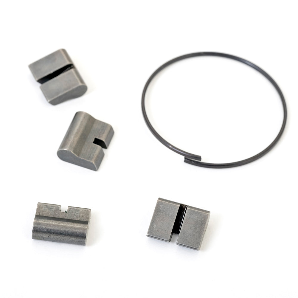 Halo WL Disc Pawl and Spring Kit