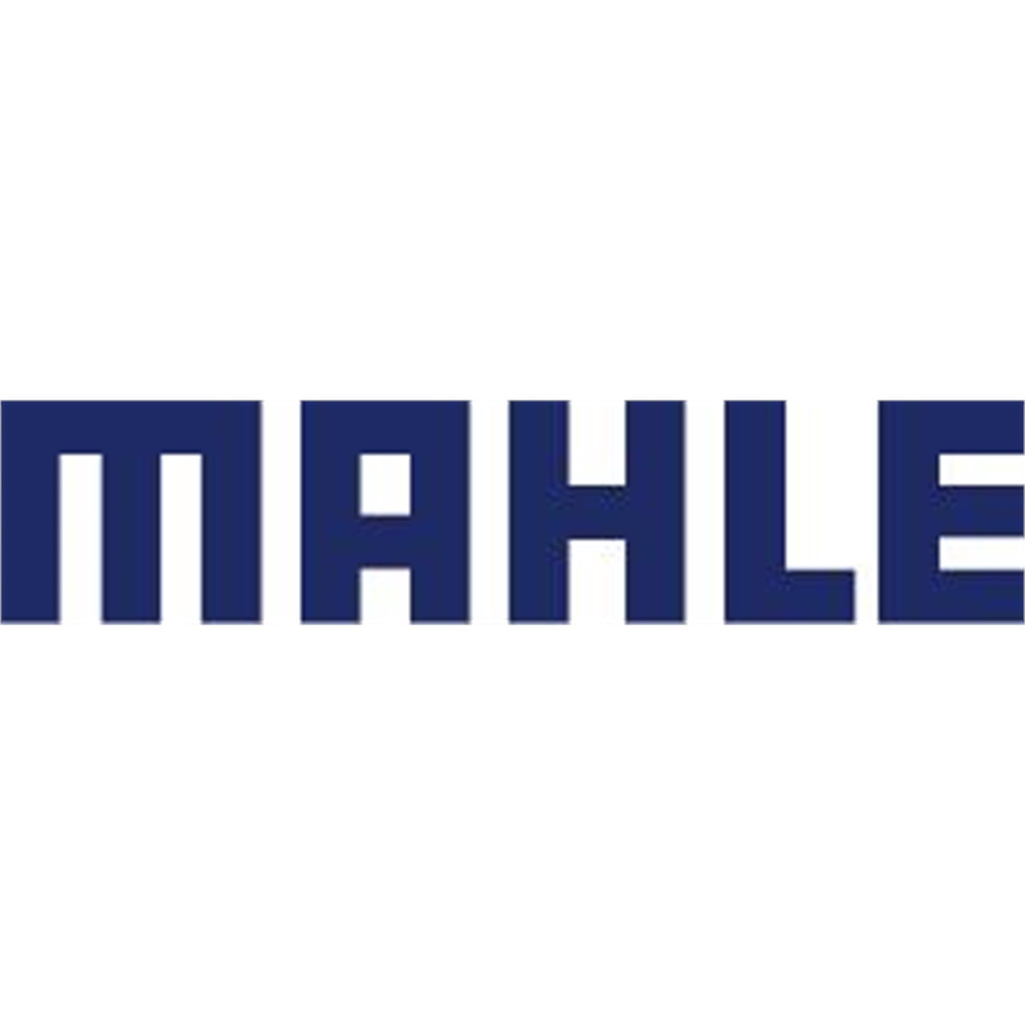 MAHLE Bearing Kit DUB: B30+D29+OR