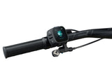 Liv Lurra E+ 1 2027